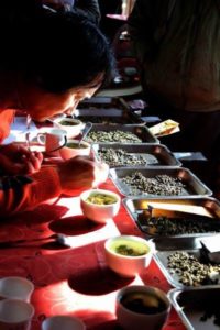 茶葉鑑定の様子