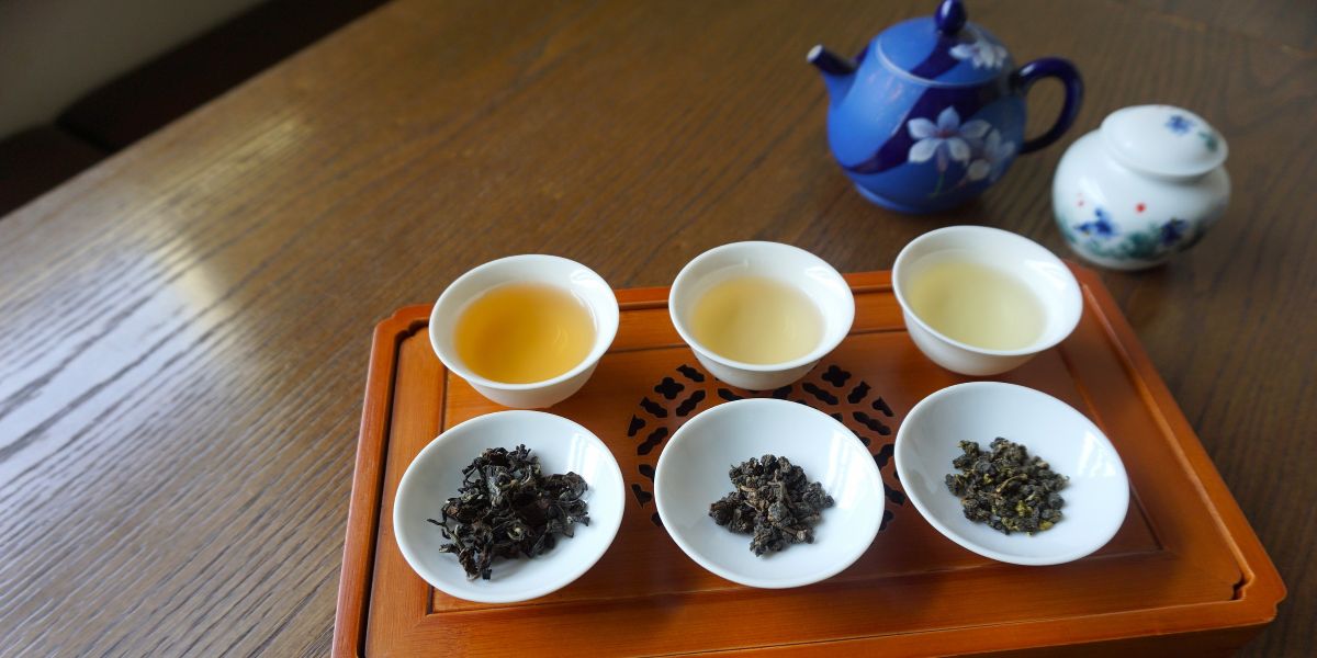 台湾茶入門講座